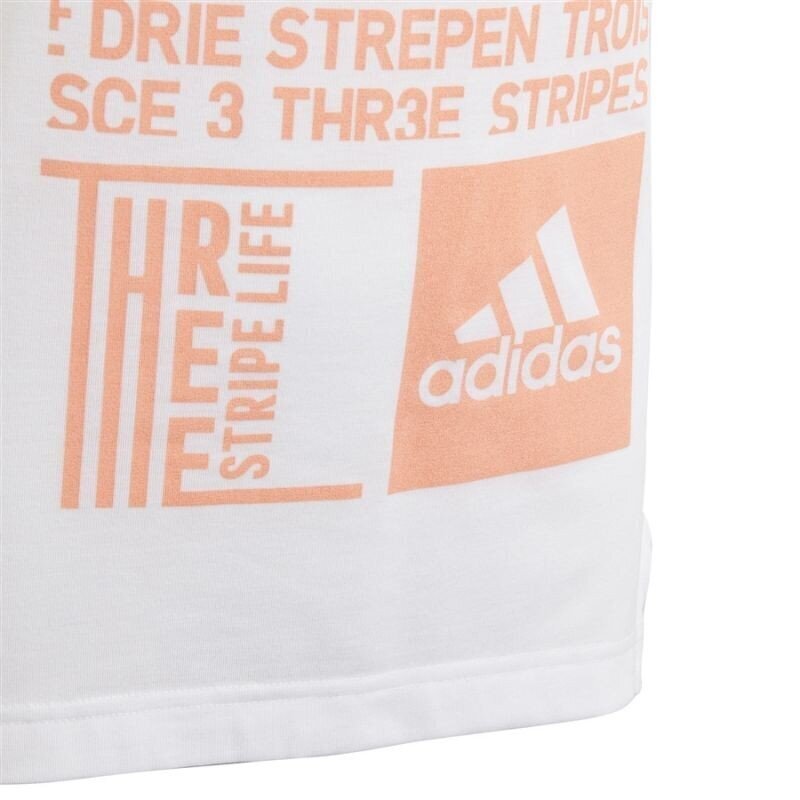 Sportlik T-särk poistele Adidas YG TR Graph Tee Junior DJ1061 цена и информация | Poiste särgid | kaup24.ee