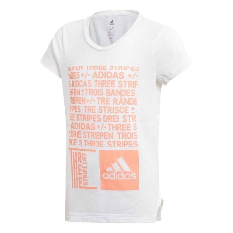 Sportlik T-särk poistele Adidas YG TR Graph Tee Junior DJ1061 цена и информация | Poiste särgid | kaup24.ee