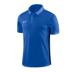 Poiste spordisärk Nike Dry Academy 18 Polo Jr 899991- 463 (47824) цена и информация | Рубашки для мальчиков | kaup24.ee