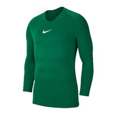 Poiste spordisärk Nike Dry Park JR AV2611 302, roheline hind ja info | Poiste särgid | kaup24.ee