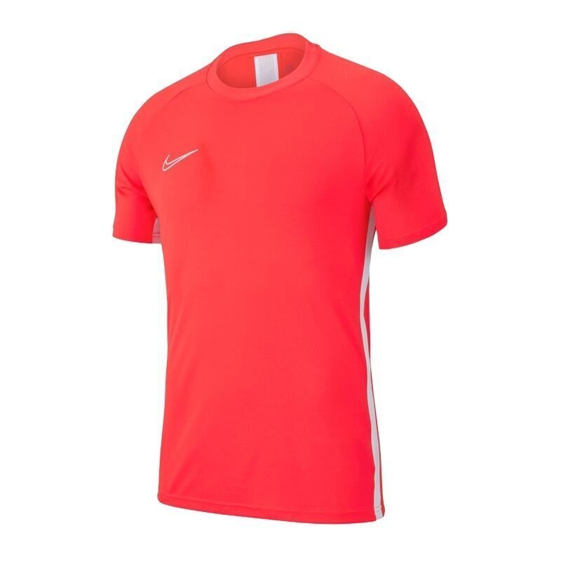 Spordisärk Nike Academy 19 Junior AJ9261-671, 48470 hind ja info | Tüdrukute särgid | kaup24.ee