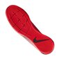 Nike Vapor jalgpalli puutsad 13 Academy IC M AT7993-606 hind ja info | Jalgpallijalatsid | kaup24.ee