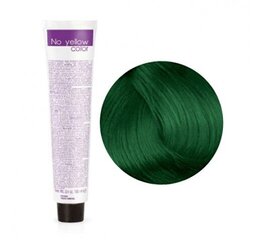 Цветной тонер зеленый No Yellow 100 мл цена и информация | Краска для волос | kaup24.ee