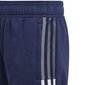 Poiste lühikesed spordipüksid Adidas Tiro 21 Sweat Short Jr GK9679 цена и информация | Poiste lühikesed püksid | kaup24.ee