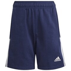 Poiste lühikesed spordipüksid Adidas Tiro 21 Sweat Short Jr GK9679 hind ja info | Poiste lühikesed püksid | kaup24.ee