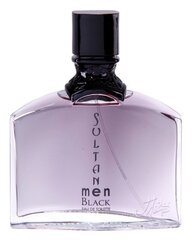 Туалетная вода Jeanne Arthes Sultane Men Black EDT для мужчин 100 мл цена и информация | Мужские духи | kaup24.ee