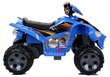 Elektriline atv lastele Quad, sinine hind ja info | Laste elektriautod | kaup24.ee