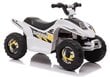 Elektriline atv lastele Quad XMX612, valge hind ja info | Laste elektriautod | kaup24.ee