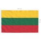 vidaXL Leedu lipp 90 x 150 cm hind ja info | Lipud ja tarvikud | kaup24.ee