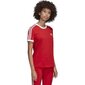 Naiste spordisärk Adidas 3 Stripes Tee W FM3318 (53095) hind ja info | Naiste spordiriided | kaup24.ee
