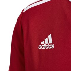 Poiste T-särk Adidas Entrada 18 Jr CF1050, punane hind ja info | Poiste särgid | kaup24.ee