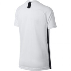 Спортивная футболка детская Nike B Dry Academy SS Junior AO0739-100, 61068 цена и информация | Рубашки для мальчиков | kaup24.ee