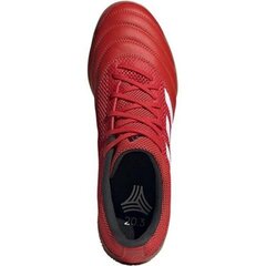 Meeste jalgpalli puutsad Adidas Copa 20.3 IN SALA M G28548 52371 цена и информация | Футбольные бутсы | kaup24.ee