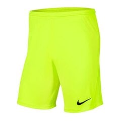 Спортивные шорты для мальчиков Nike Park III Knit Jr. BV6865-702, 52214, зеленые цена и информация | Poiste lühikesed püksid | kaup24.ee