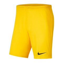 Poiste spordipüksid Nike Park III Knit Jr BV6865-719, 52295 цена и информация | Шорты для мальчиков | kaup24.ee