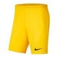 Poiste spordipüksid Nike Park III Knit Jr BV6865-719, 52295 цена и информация | Poiste lühikesed püksid | kaup24.ee