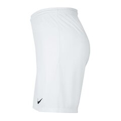 Poiste lühikesed spordipüksid Nike Park III Knit Jr BV6865-100, 52320, valge цена и информация | Шорты для мальчиков | kaup24.ee