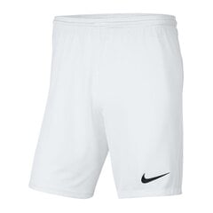 Poiste lühikesed spordipüksid Nike Park III Knit Jr BV6865-100, 52320, valge hind ja info | Poiste lühikesed püksid | kaup24.ee