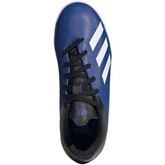 Jalgpalli puutsad Adidas X 19.4 IN JR EF1623, sinine цена и информация | Футбольные бутсы | kaup24.ee