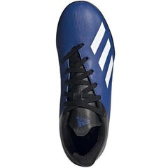 Jalgpallijalatsid Adidas X 19.4 TF JR FV4662, sinine hind ja info | Jalgpallijalatsid | kaup24.ee