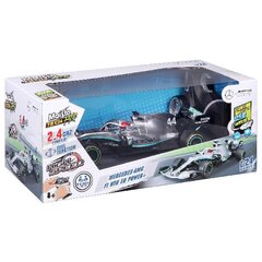 Raadio teel juhitav mudelauto FOOD TECH 1:24 F1 Mercedes AMG W10, 82352 hind ja info | Poiste mänguasjad | kaup24.ee