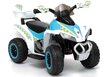 Elektriline atv lastele Quad GTS1188-A Police, valge цена и информация | Laste elektriautod | kaup24.ee