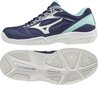 Naiste jalatsid Mizuno Cyclone Speed 2 V1GD191015 V1GD191015, sinine цена и информация | Naiste spordi- ja vabaajajalatsid | kaup24.ee