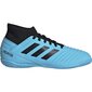 Jalgpalli puutsad Adidas Predator 19.3 IN JR G25807, 49656 цена и информация | Jalgpallijalatsid | kaup24.ee