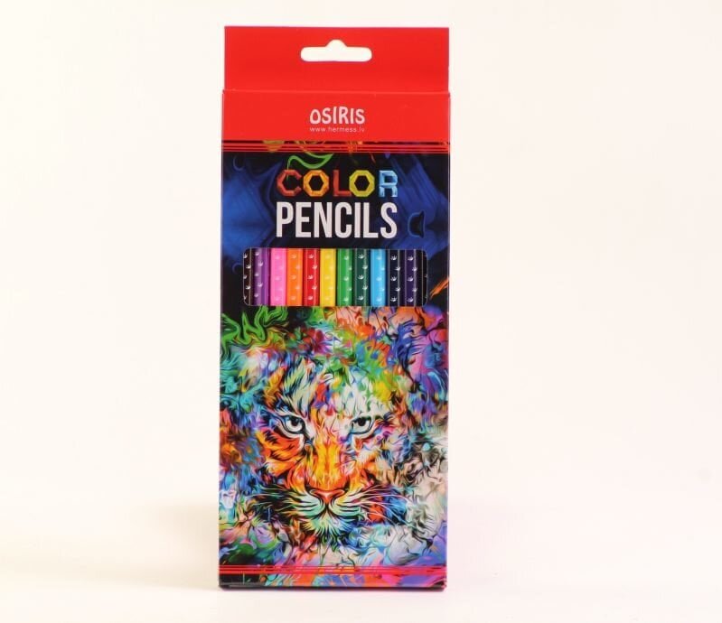 Värviliste pliiatsite komplekt 12 tk + pliiatsiteritaja hind ja info | Kunstitarbed, voolimise tarvikud | kaup24.ee