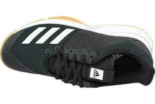 Spordijalatsid meestele Adidas Crazyflight Team D97701, mustad hind ja info | Spordi- ja vabaajajalatsid meestele | kaup24.ee