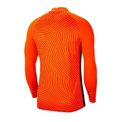 Мужская спортивная футболка Nike Gardien III GK LS M BV6711-803, 54546 цена и информация | Мужская спортивная одежда | kaup24.ee