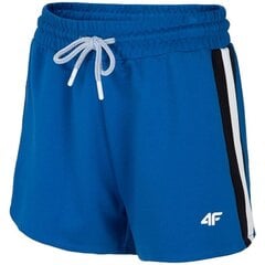 Спортивные шорты мужские 4F цена и информация | Мужская спортивная одежда | kaup24.ee