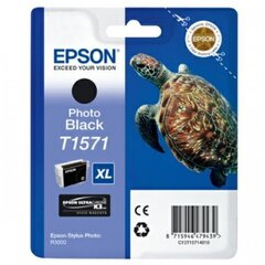 Epson C13T15714010, черный цена и информация | Картриджи и тонеры | kaup24.ee