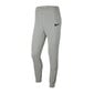 Meeste spordipüksid Nike Park 20 Fleece M CW6907-063, hall hind ja info | Meeste spordiriided | kaup24.ee
