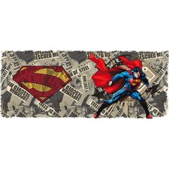 Abysse Superman and Newspaper цена и информация | Атрибутика для игроков | kaup24.ee