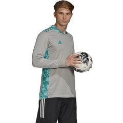 Väravavahi dressipluus Adidas AdiPro 20 M FI4196, hall hind ja info | Meeste spordiriided | kaup24.ee