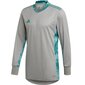 Väravavahi dressipluus Adidas AdiPro 20 M FI4196, hall цена и информация | Meeste spordiriided | kaup24.ee