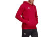 Meeste dressipluus Adidas Tango Sweat Hoody DZ9613, punane hind ja info | Meeste pusad | kaup24.ee
