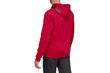 Meeste dressipluus Adidas Tango Sweat Hoody DZ9613, punane hind ja info | Meeste pusad | kaup24.ee