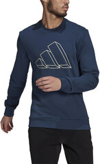 Adidas Джемпер M Fi Gfx Crew Blue GL5671/S цена и информация | Мужские толстовки | kaup24.ee