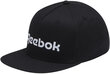 Reebok Mütsid Act Core Ll Cap Black GP0116/OSFM hind ja info | Meeste sallid, mütsid ja kindad | kaup24.ee