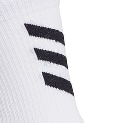 Спортивные носки мужские Adidas Alphaskin Crew Ultralight M FS9762, белые цена и информация | Мужские носки | kaup24.ee
