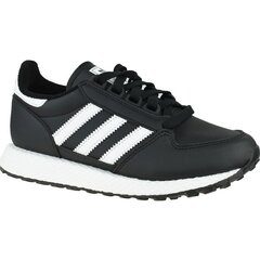 Кроссовки для мальчиков Adidas Forest Grove CF Jr EG8958 цена и информация | Детская спортивная обувь | kaup24.ee