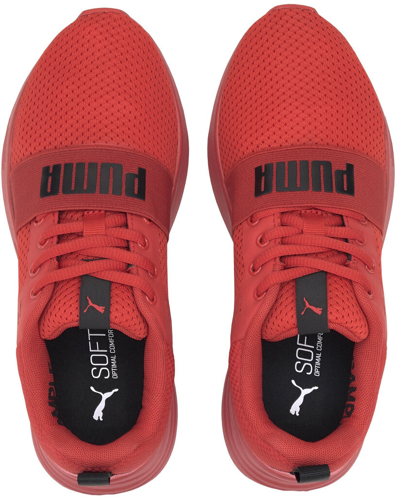 Jalatsid Puma Wired Run Jr High Risk Red 374214 05/4 цена и информация | Laste spordijalatsid | kaup24.ee