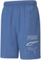 Lühikesed Püksid Puma Rebel Woven Shorts Blue 586905 13/S hind ja info | Meeste spordiriided | kaup24.ee