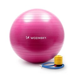 Spordisaal Wozinsky 65 cm, roosa hind ja info | Võimlemispallid | kaup24.ee