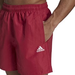 Adidas Ujumisšortsid Solid Clx Sh Sl Burgundy GQ1088/L hind ja info | Ujumispüksid, shortsid | kaup24.ee