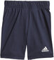 Adidas Spordikostüümid I Bos Sum Set Blue GM8943/98 цена и информация | Komplektid poistele | kaup24.ee