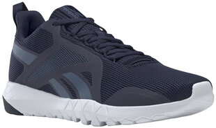 Reebok Обувь Flexagon Force 3.0 Blue FX1909/12 цена и информация | Кроссовки для мужчин | kaup24.ee