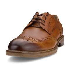 Мужские туфли Nicolo Ferretti 3903900/45, коричневые цена и информация | Мужские ботинки | kaup24.ee